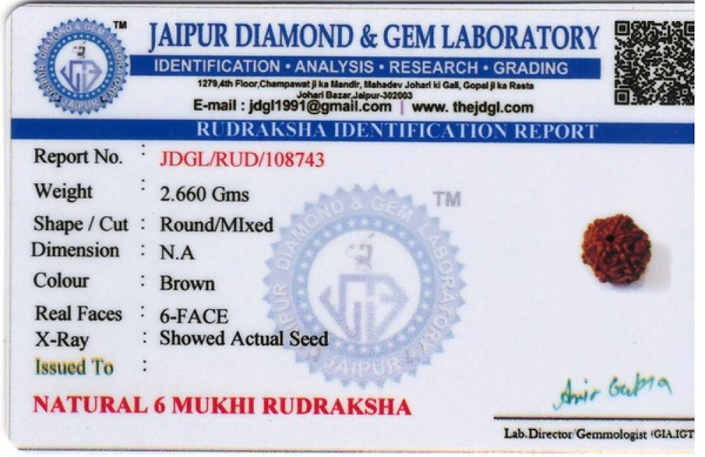 Rudraksha - 2.66 Carat