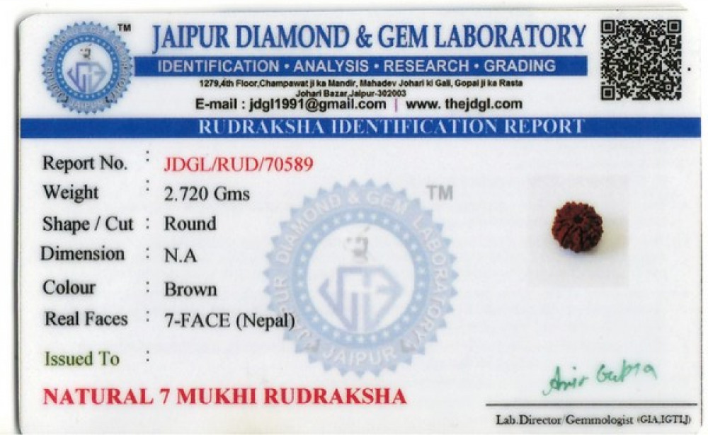 Rudraksha - 2.72 Carat
