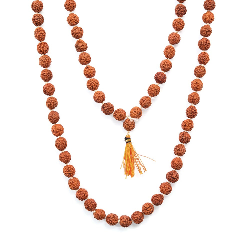 Rudraksha - 34.03 Carat
