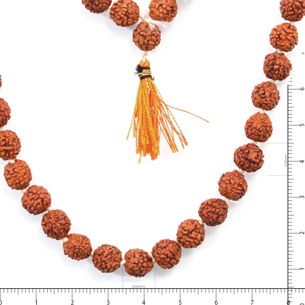 Rudraksha - 34.03 Carat