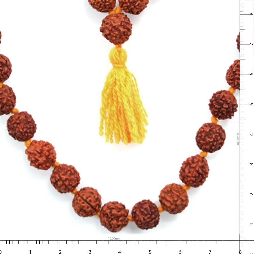 Rudraksha - 52.38 Carat