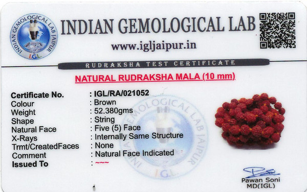 Rudraksha - 52.38 Carat