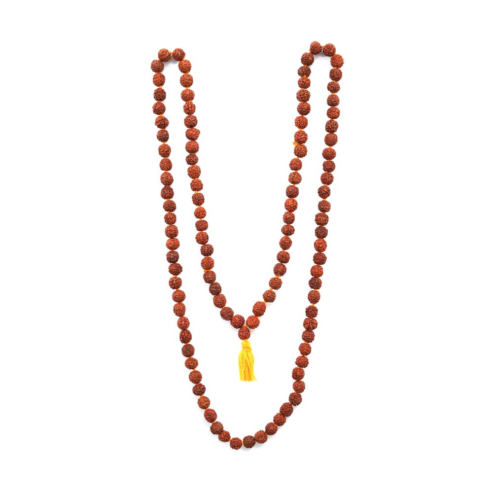 Rudraksha - 70.23 Carat