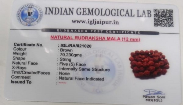 Rudraksha - 70.23 Carat