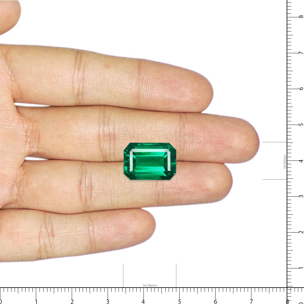 Vivid Green Emerald - 9.24 Carat