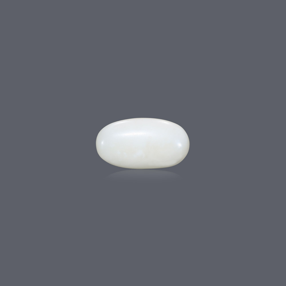 White Coral - 6.58 Carat