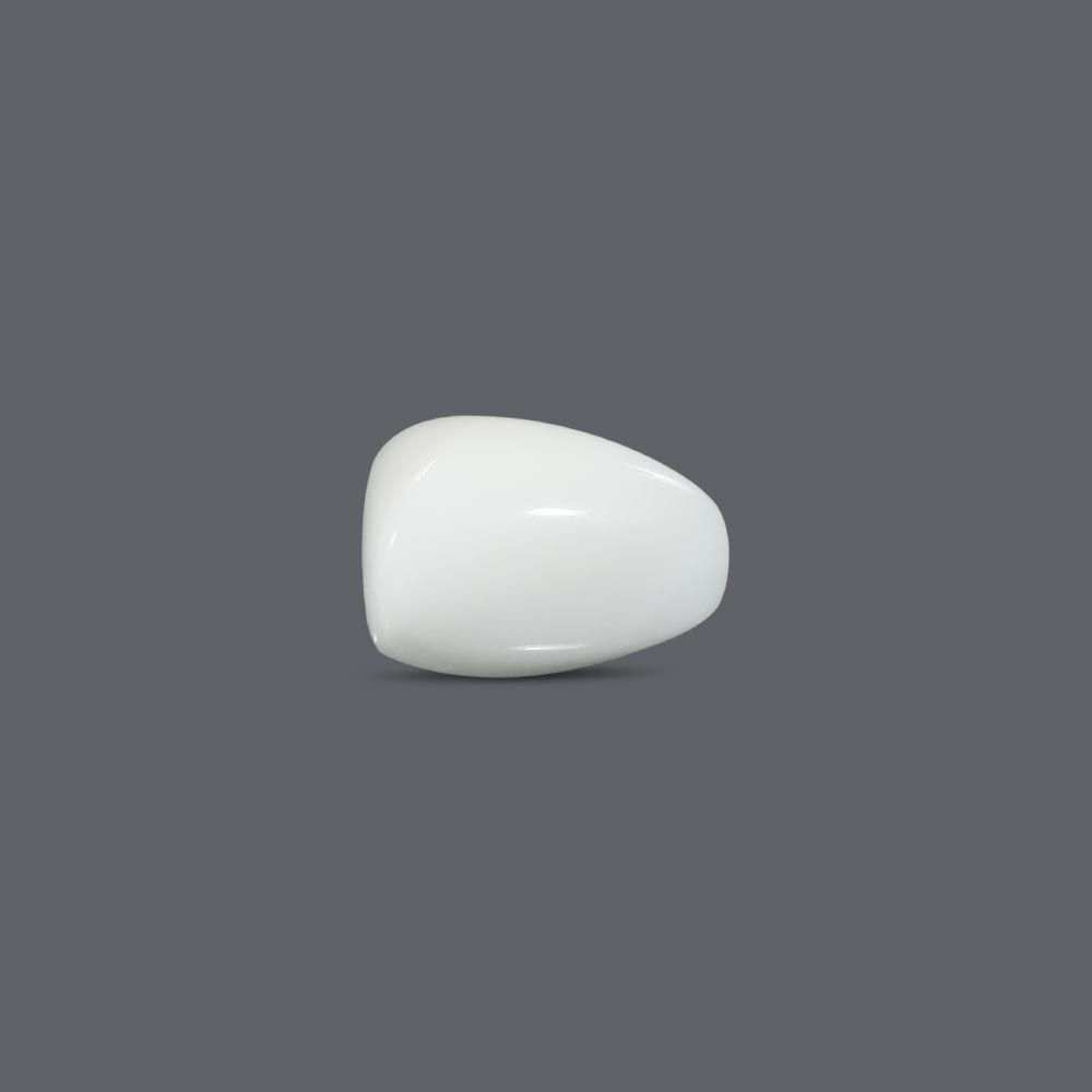 White Coral - 12.64 Carat