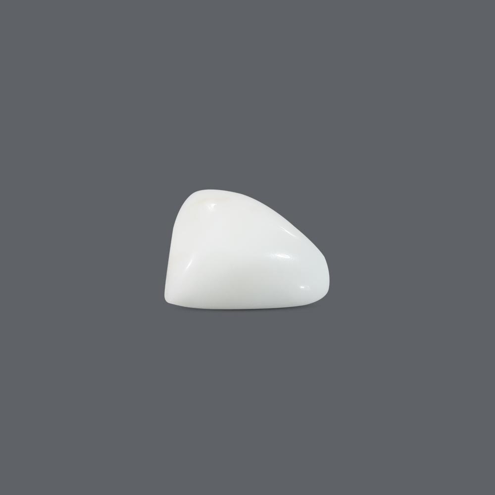 White Coral - 11.22 Carat