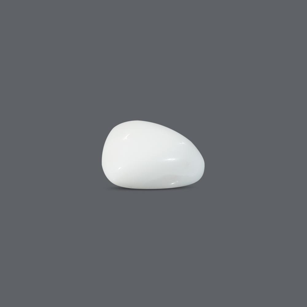 White Coral - 12.31 Carat