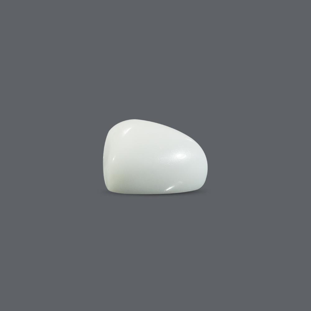 White Coral - 12.32 Carat