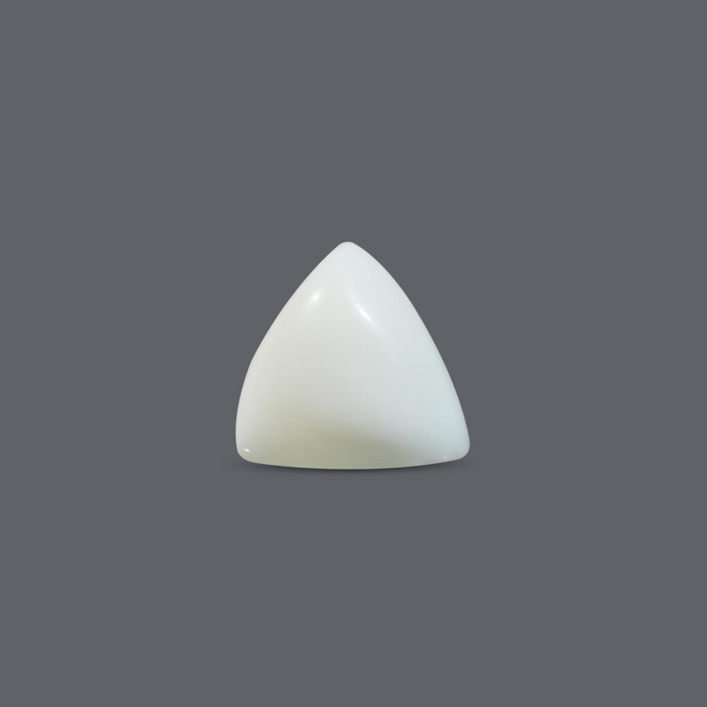 White Coral - 12.32 Carat