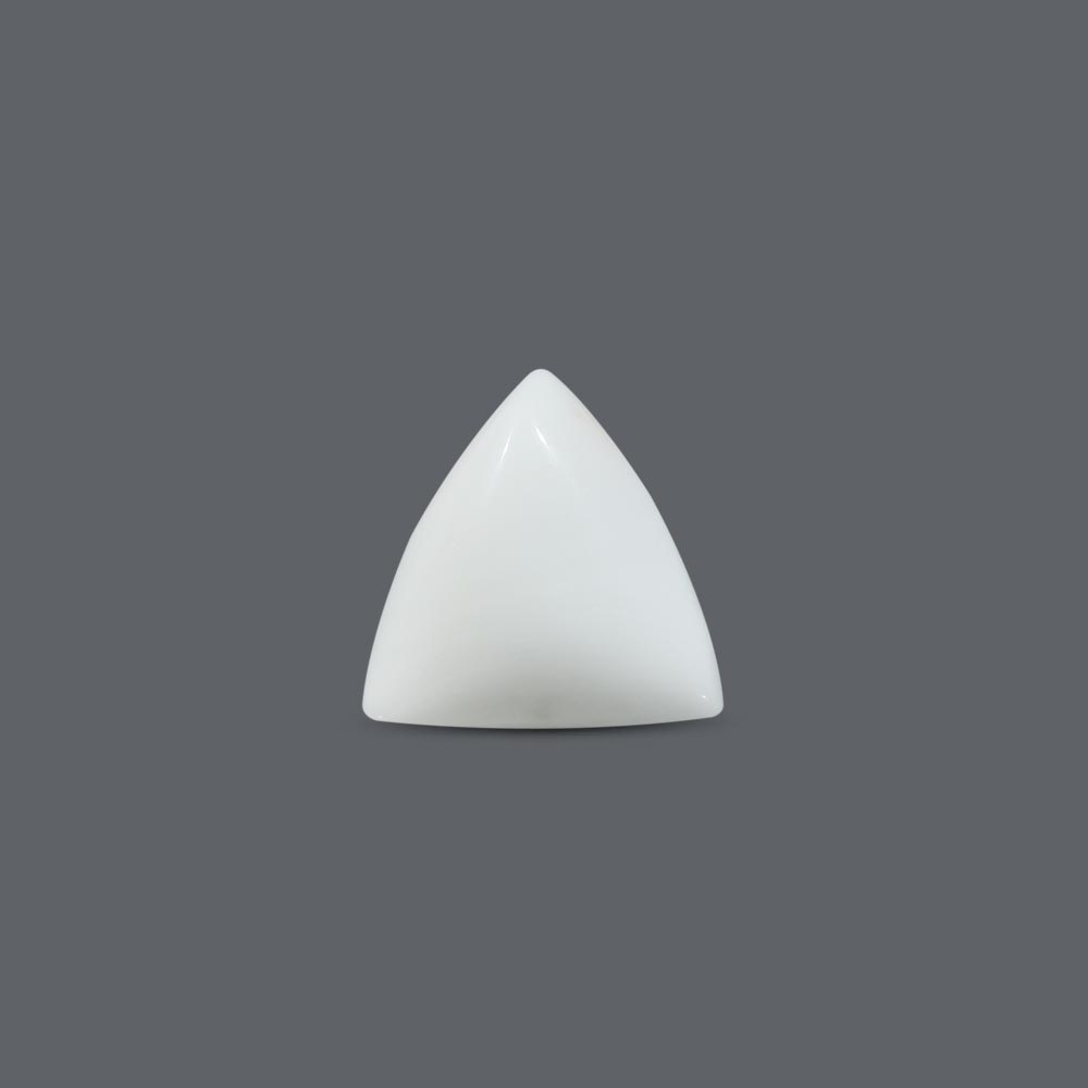 White Coral - 12.33 Carat