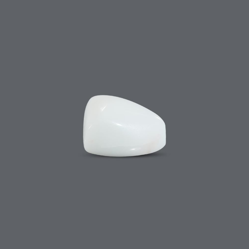 White Coral - 12.33 Carat