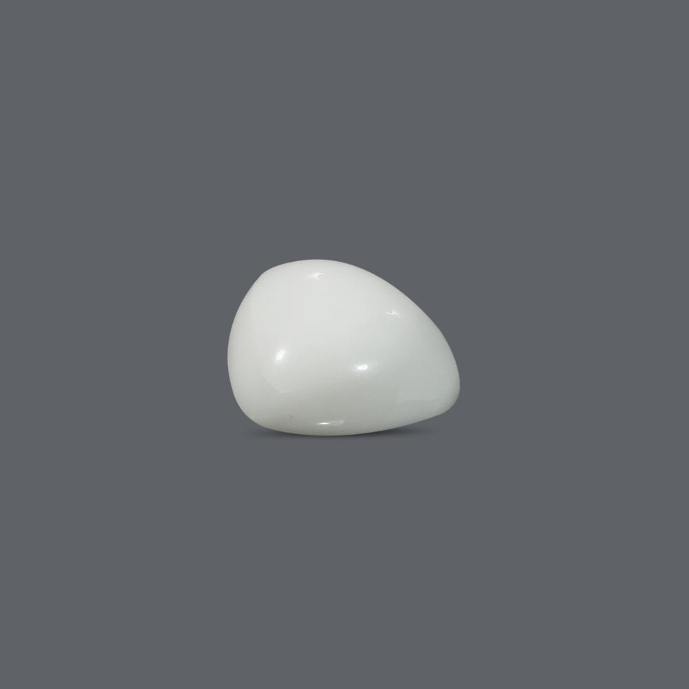 White Coral - 12.48 Carat