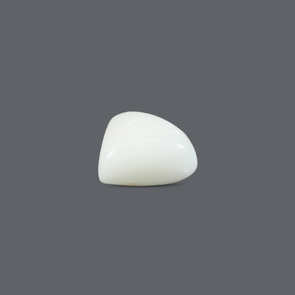 White Coral - 12.53 Carat