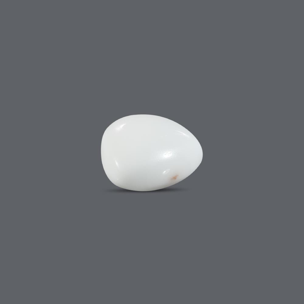 White Coral - 12.83 Carat