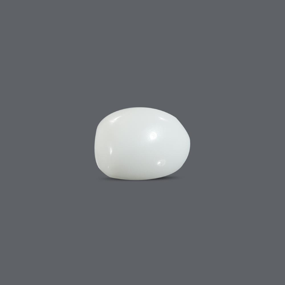 White Coral - 12.83 Carat