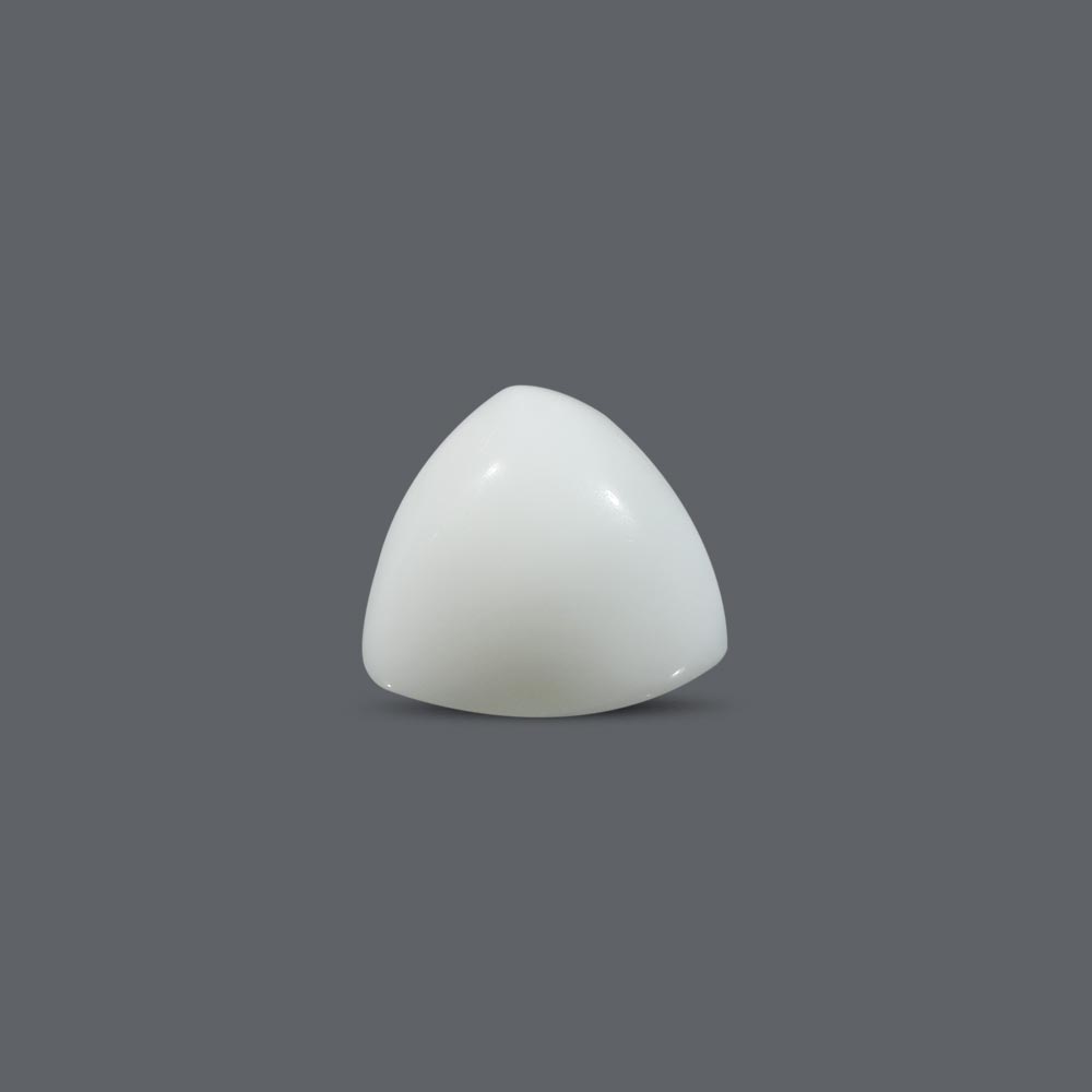 White Coral - 12.83 Carat