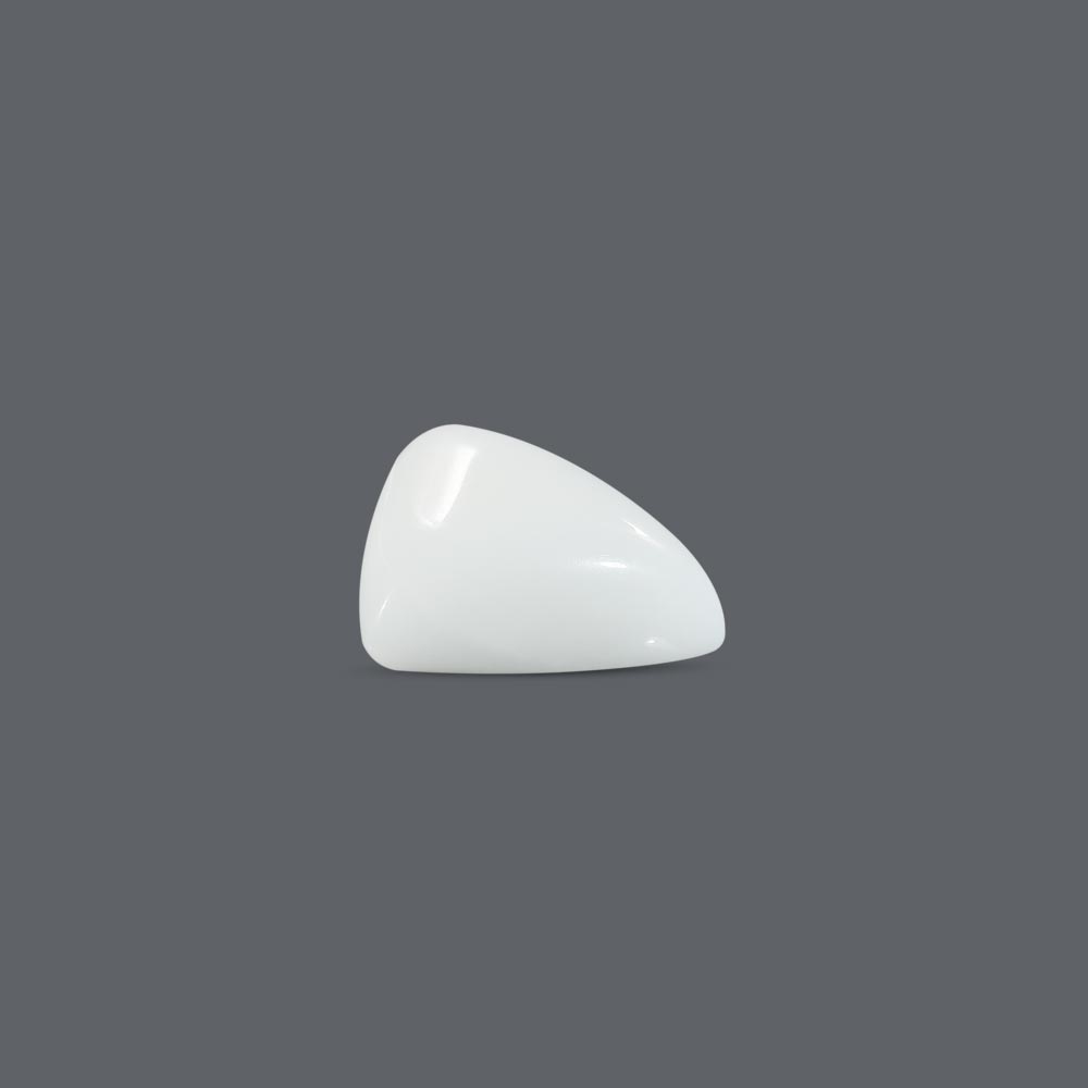 White Coral - 13.2 Carat