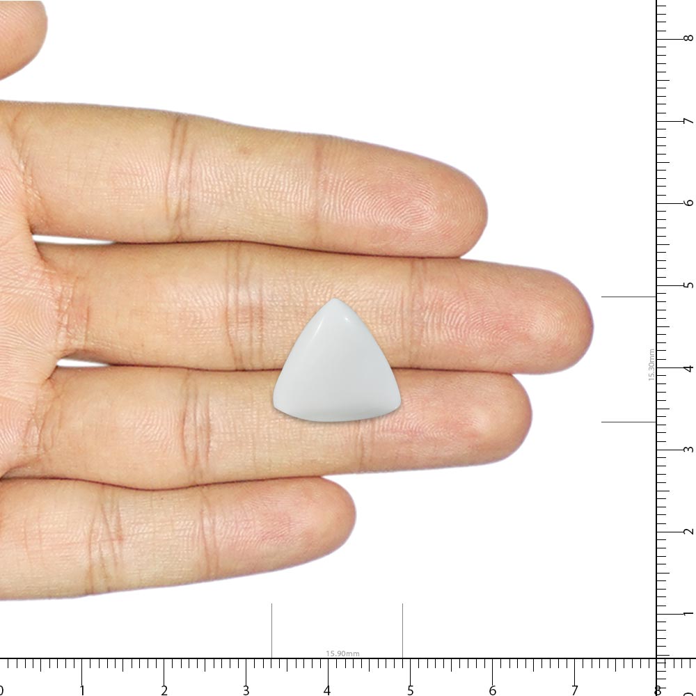 White Coral - 13.22 Carat