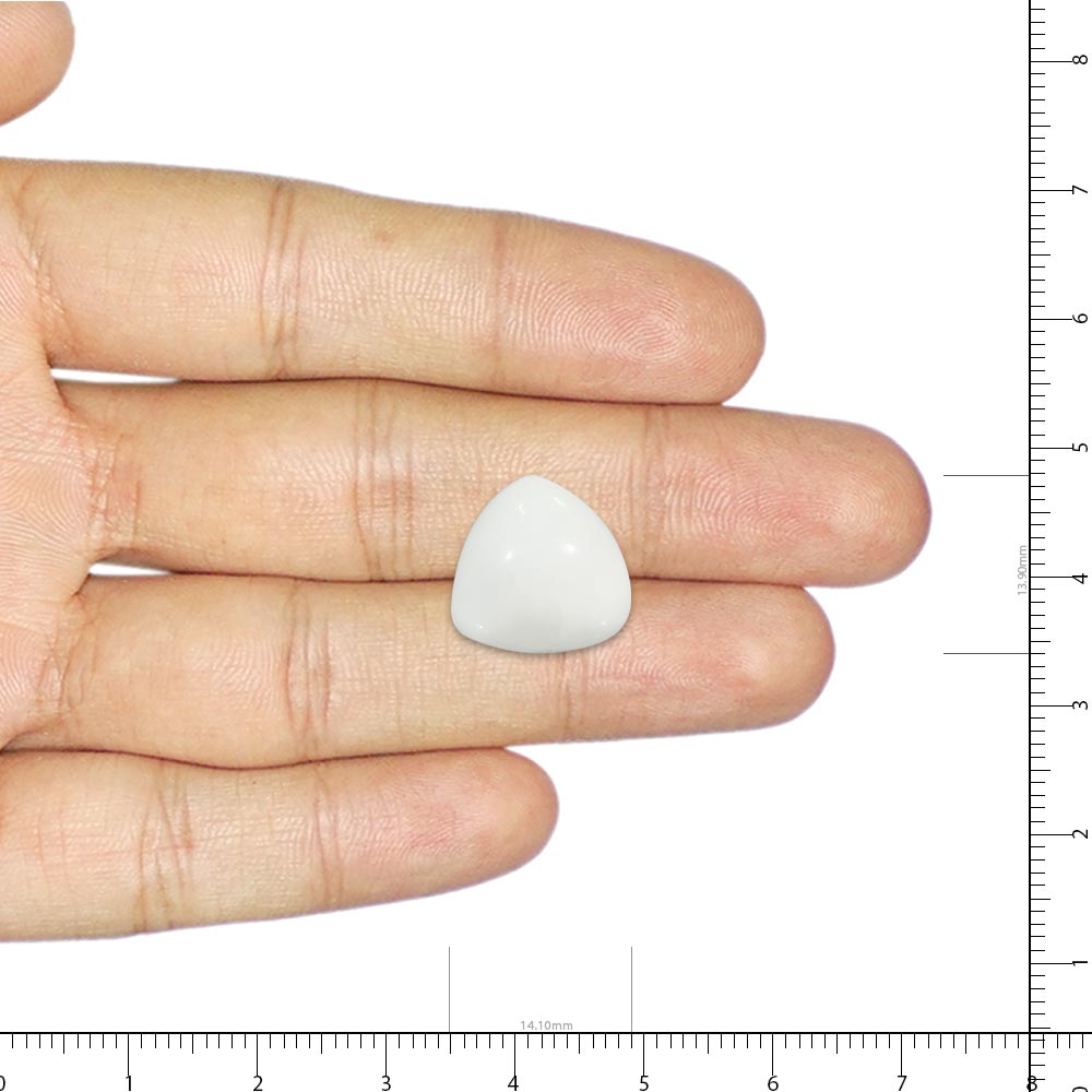 White Coral - 13.86 Carat