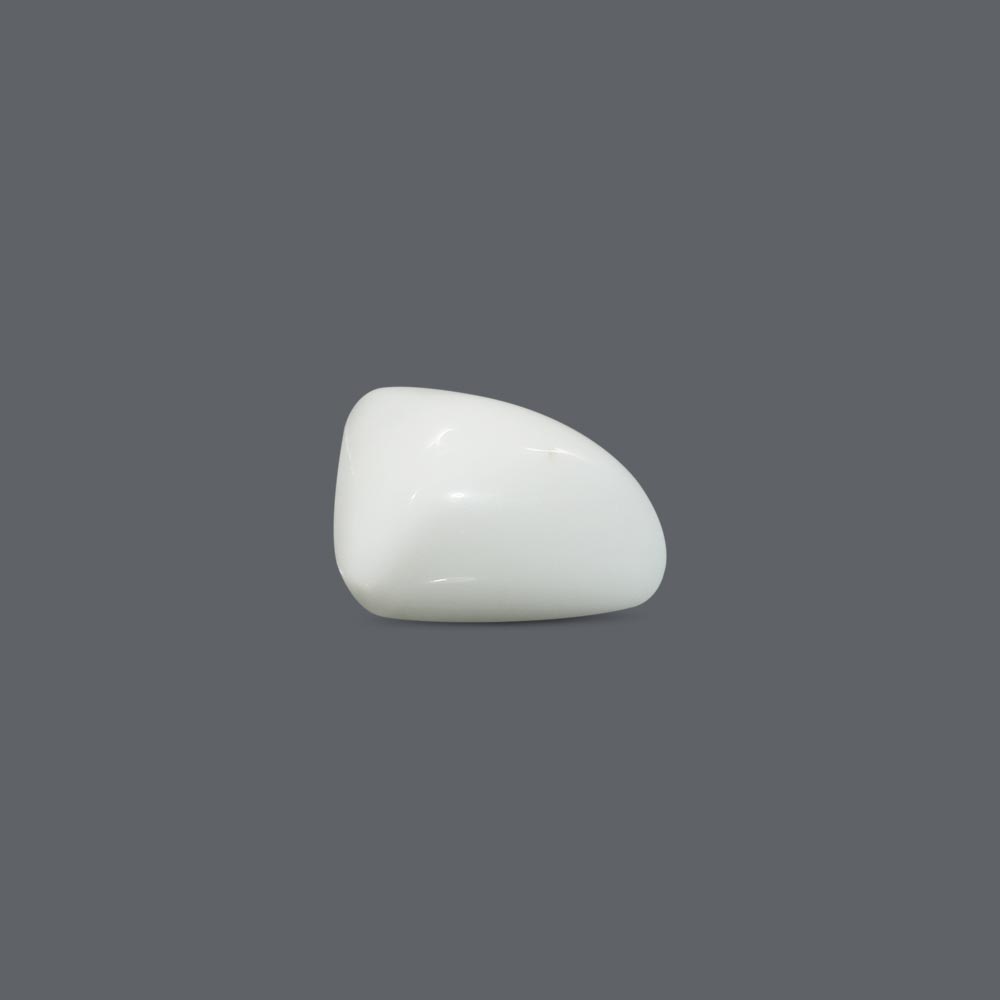 White Coral - 14.08 Carat