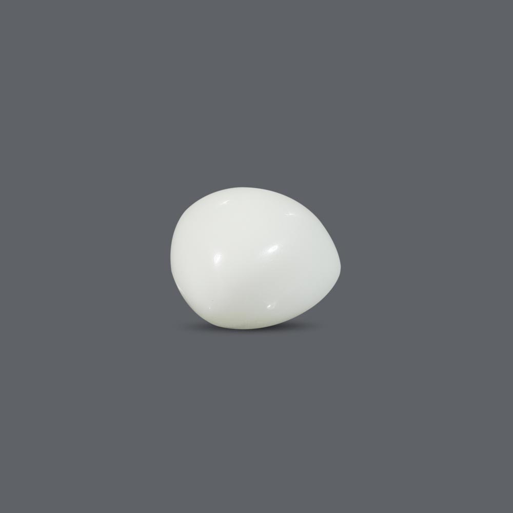 White Coral - 15.81 Carat