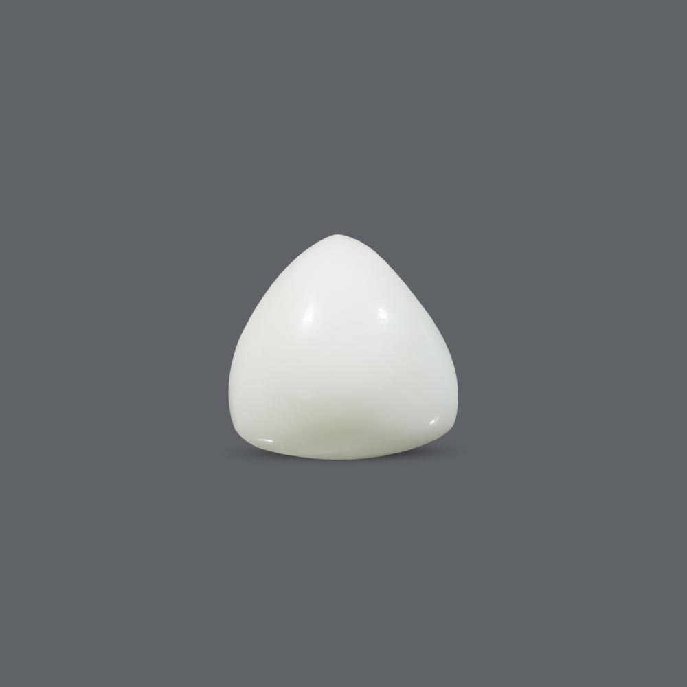 White Coral - 15.81 Carat