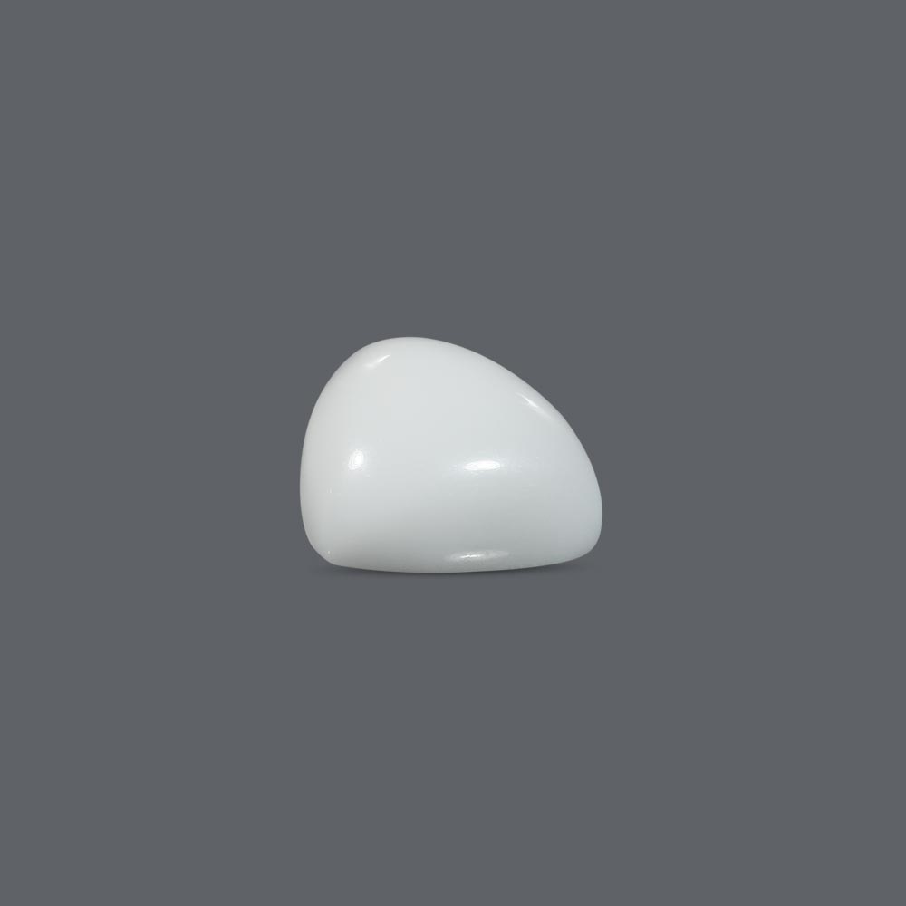 White Coral - 15.92 Carat