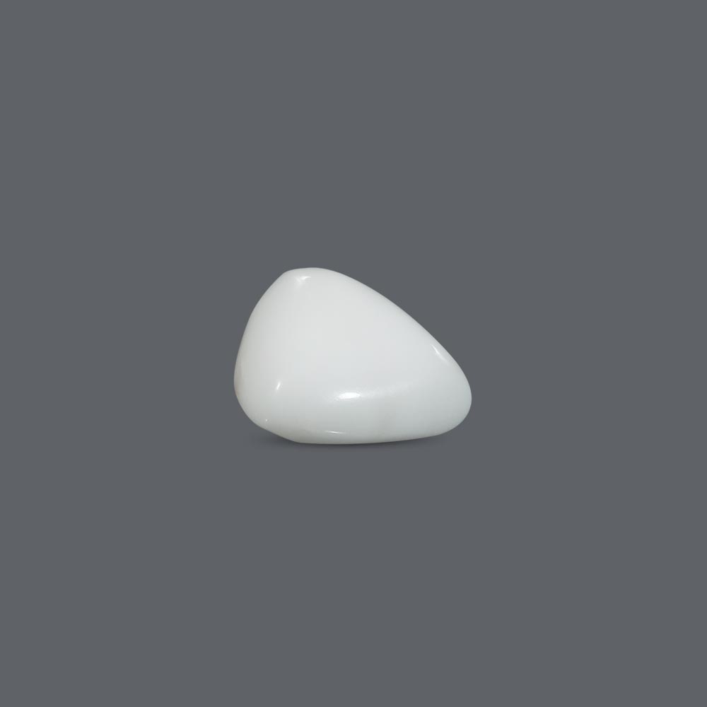 White Coral - 16.44 Carat