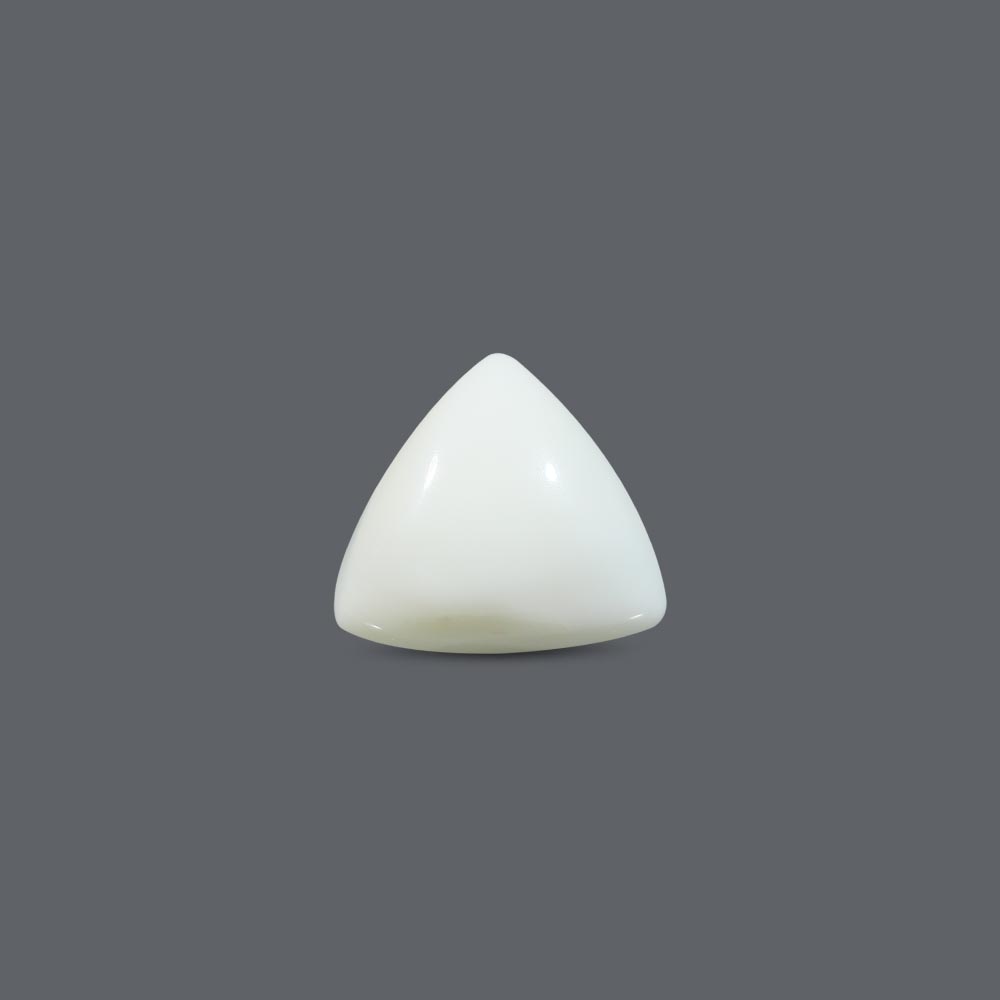 White Coral - 18.2 Carat