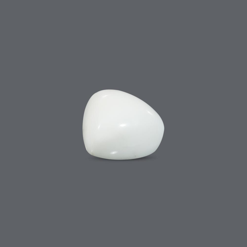 White Coral - 18.2 Carat