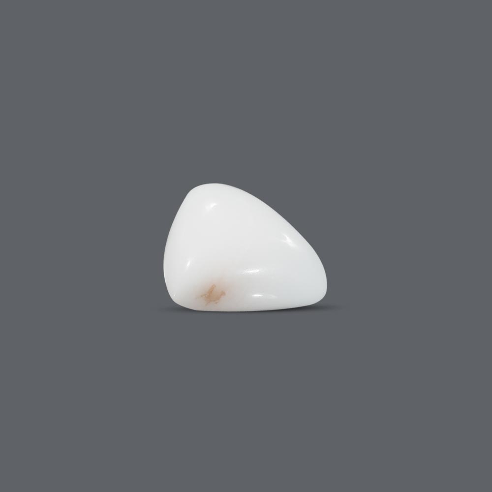 White Coral - 6.55 Carat