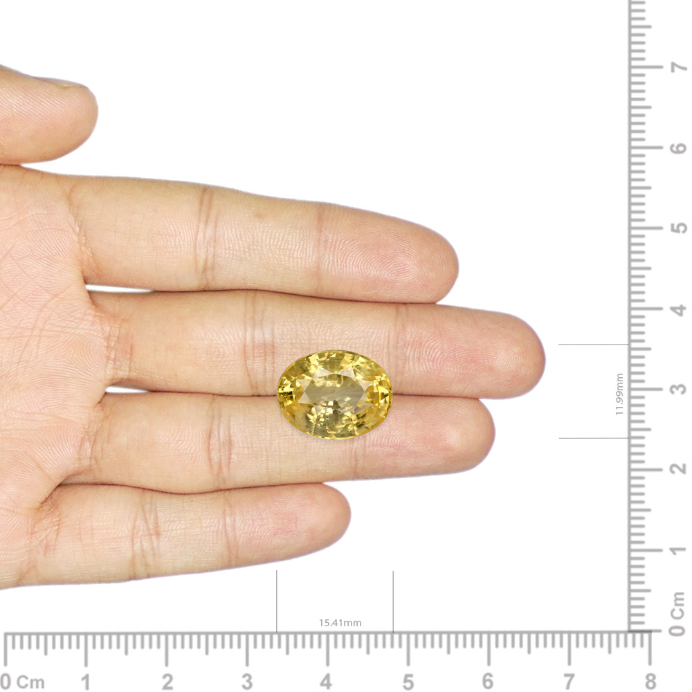 Yellow Sapphire - 9.70 Carat