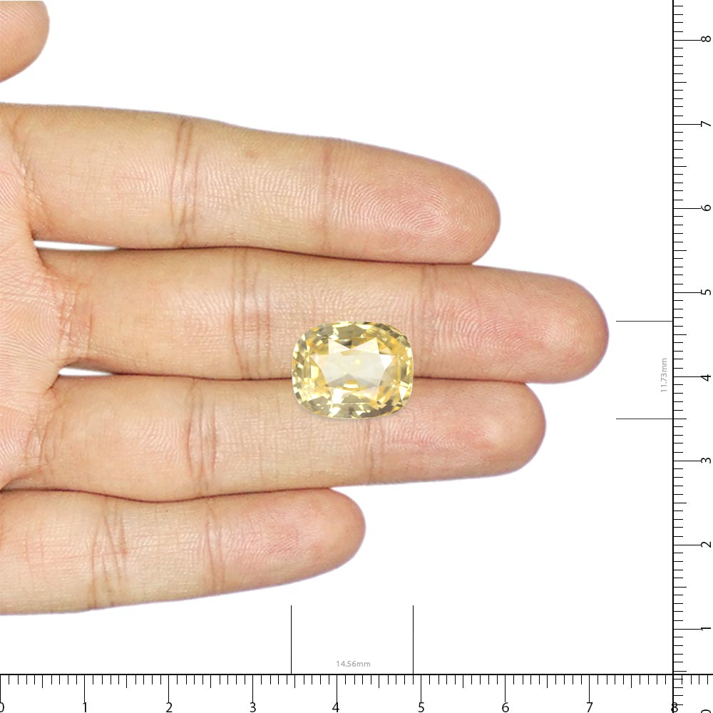 Yellow Sapphire - 14.18 Carat