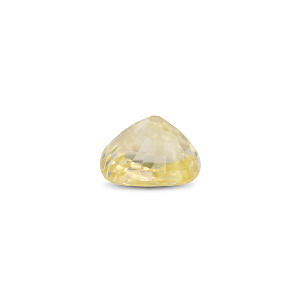 Yellow Sapphire - 2.56 Carat