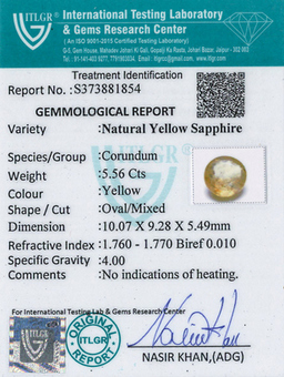 Yellow Sapphire - 5.56 Carat