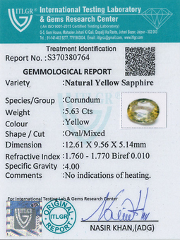 Yellow Sapphire - 5.63 Carat