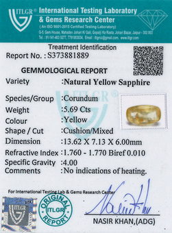 Yellow Sapphire - 5.69 Carat