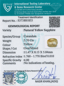 Yellow Sapphire - 5.7 Carat