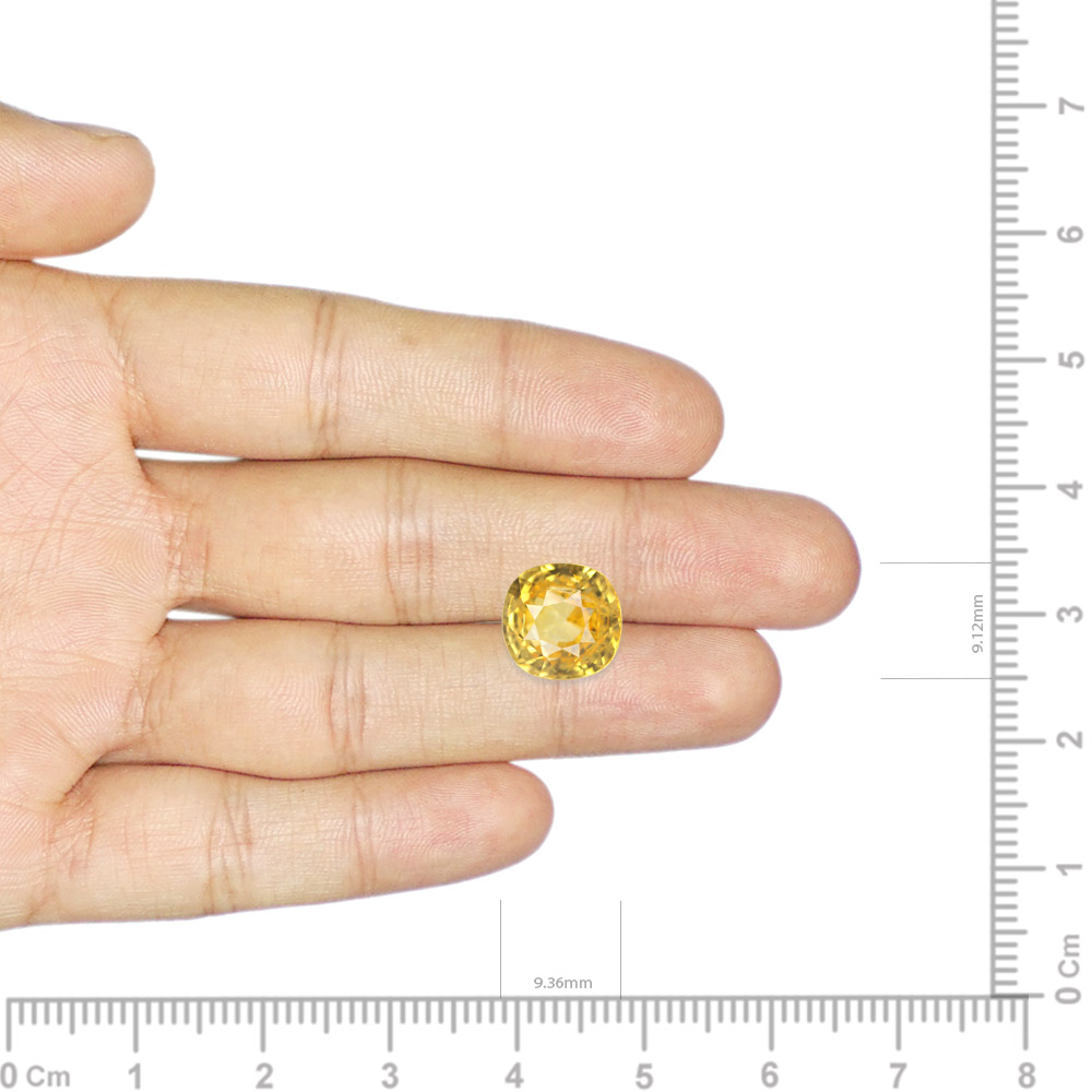 Yellow Sapphire - 5.98 Carat