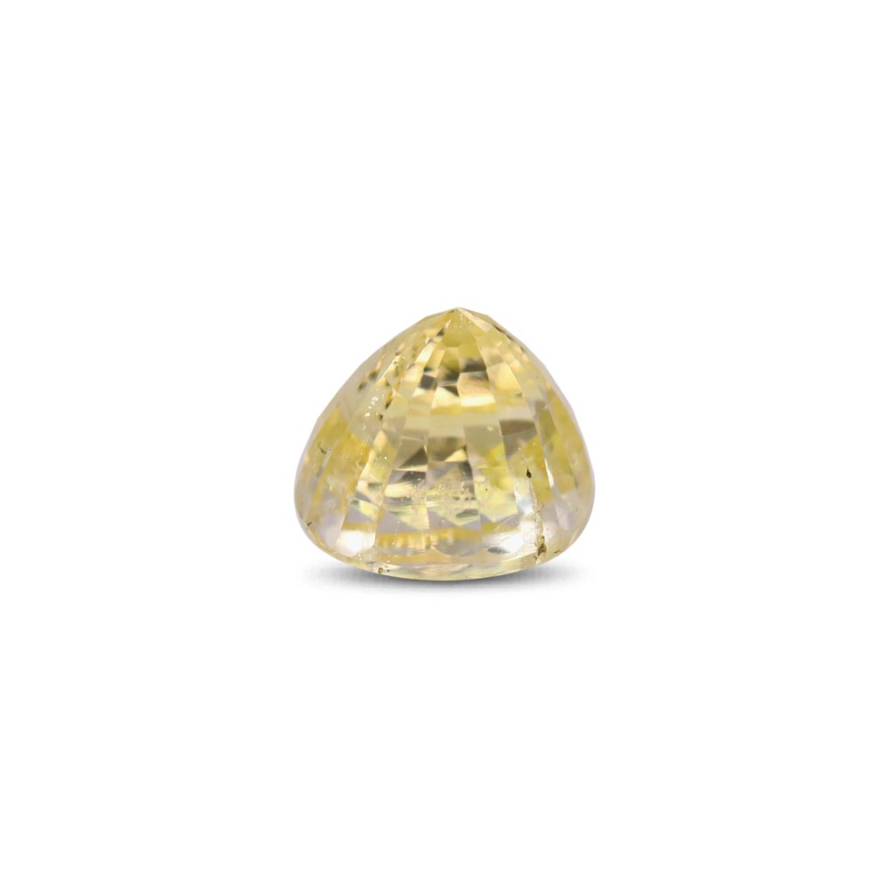 Yellow Sapphire - 6.58 Carat