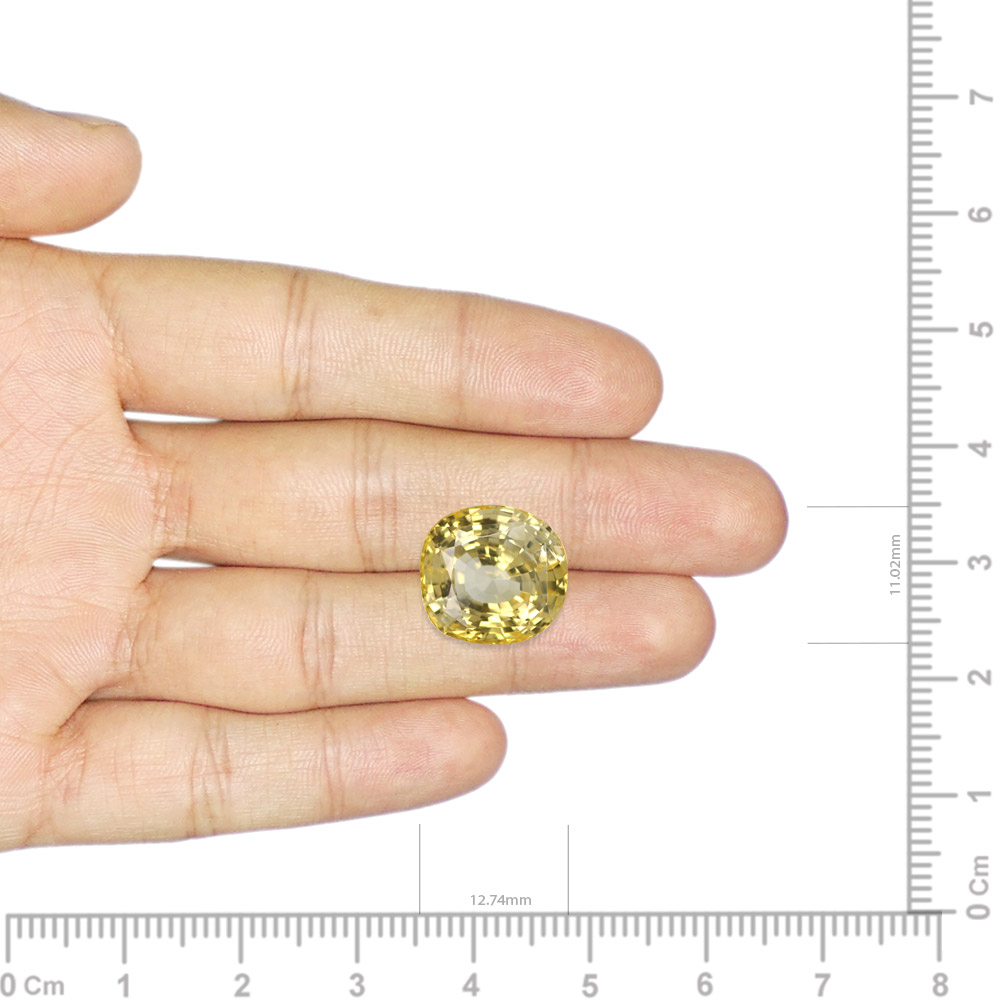 Yellow Sapphire - 8.17 Carat