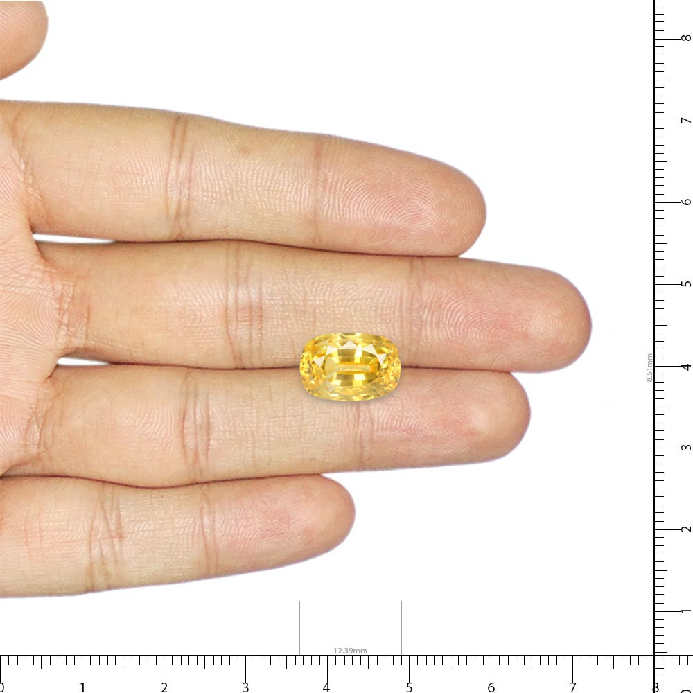 Yellow Sapphire - 9.02 Carat