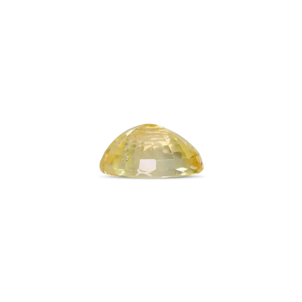 Yellow Sapphire (Pukhraj) - 7.73 Carat