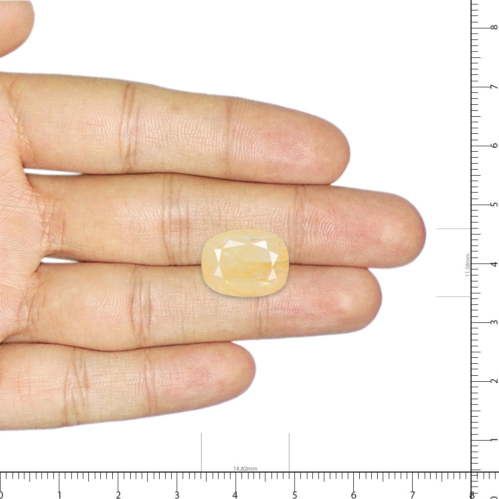 Yellow Sapphire (Pukhraj) - 8.45 Carat