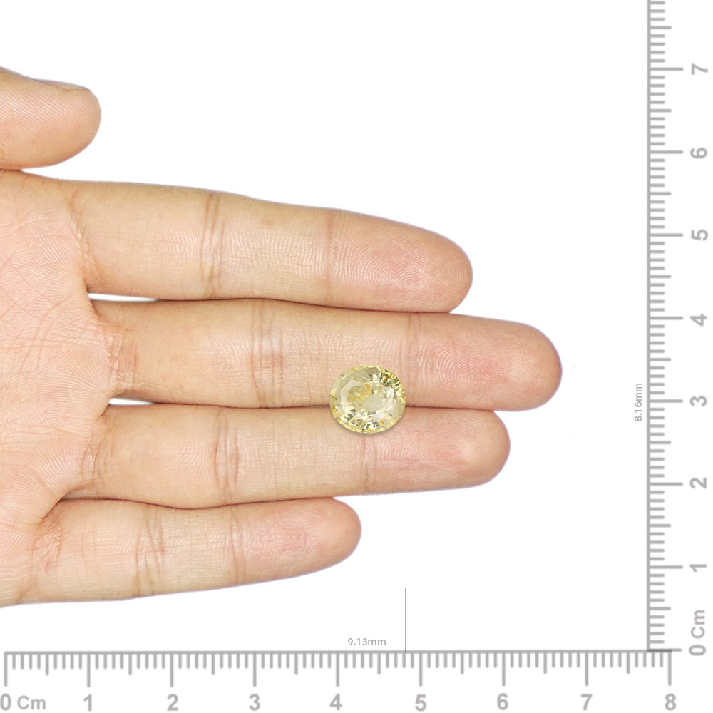 Yellow Sapphire - 3.74 Carat