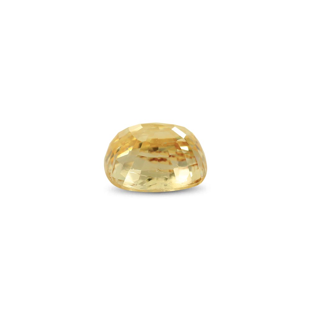 Yellow Sapphire - 2.56 Carat