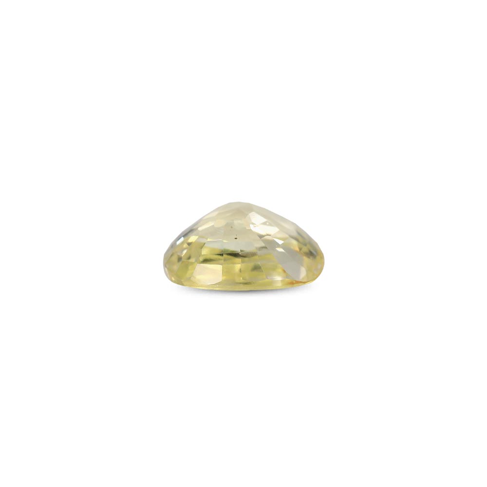 Yellow Sapphire - 3.10 Carat