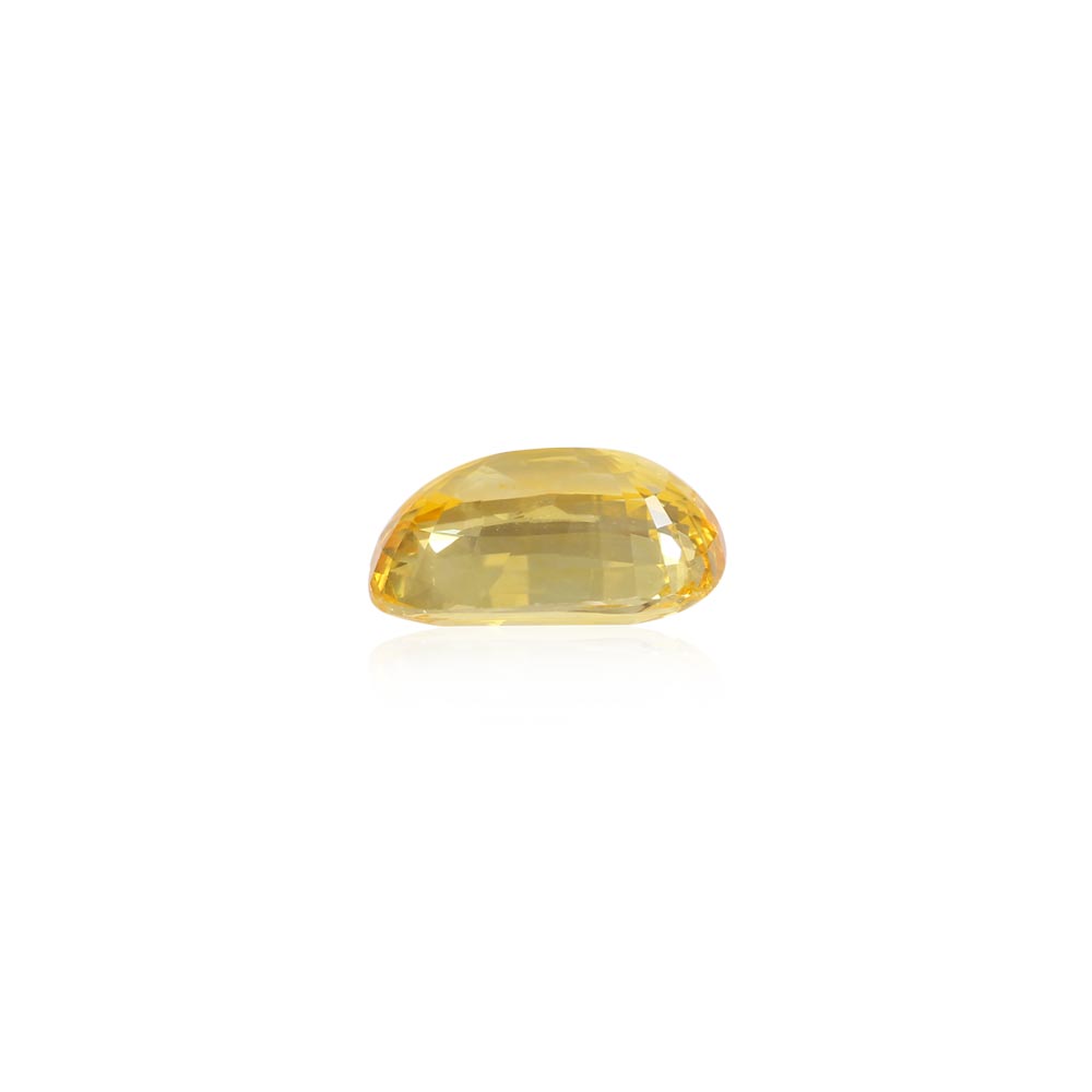 Yellow Sapphire - 13.04 Carat